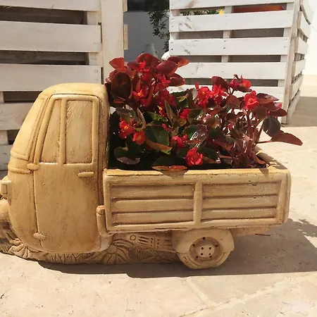 Πανσιόν Trulli Family - Trulli&cummerse 2*